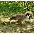 Kinderreiche Familie