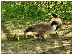 Kinderreiche Familie