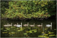 Kinderreiche Familie