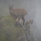 Kinders, bleibt bei mir! Da ist so ein komischer Fotograf...