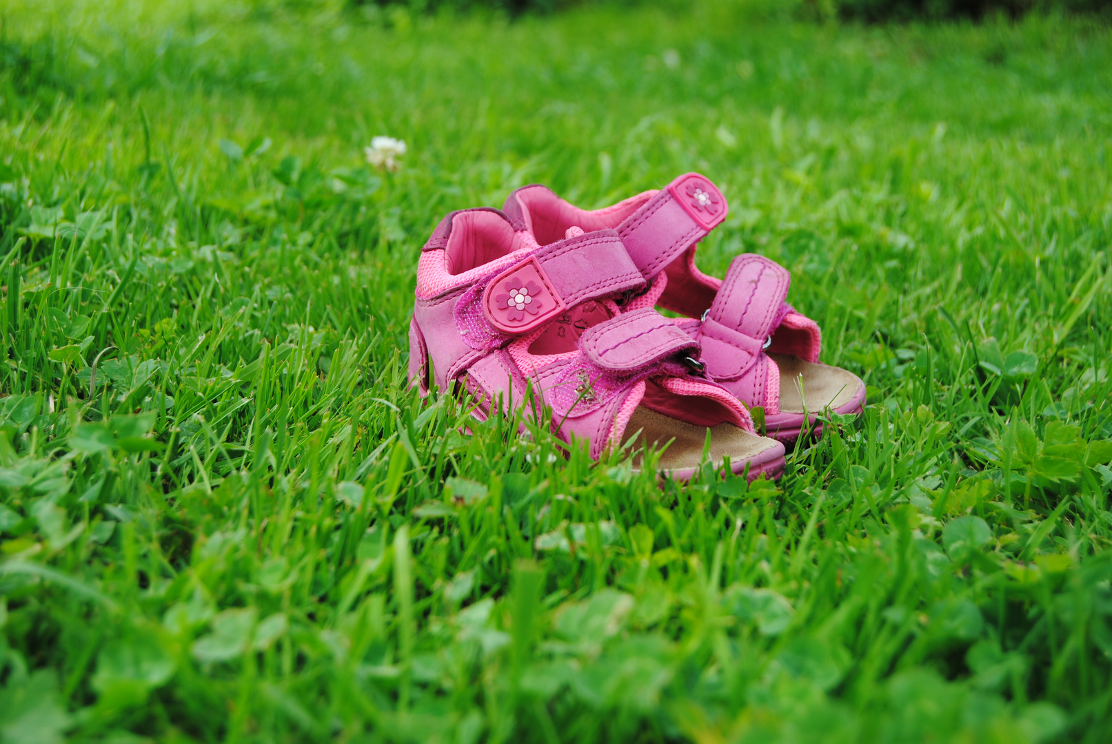 Kinderschuhe im Garten