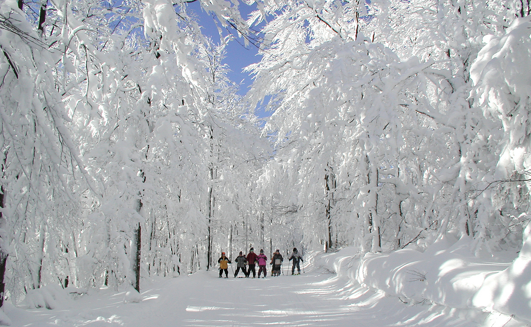 Kinderskikurs in "Mitterdorf"  (Mitterfirmiansreut im Bayerischen Wald)