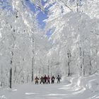 Kinderskikurs in "Mitterdorf"  (Mitterfirmiansreut im Bayerischen Wald)