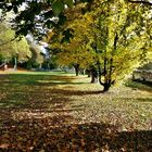 Kinderspielplatz vor einem kleinem Weiher mit Bibern