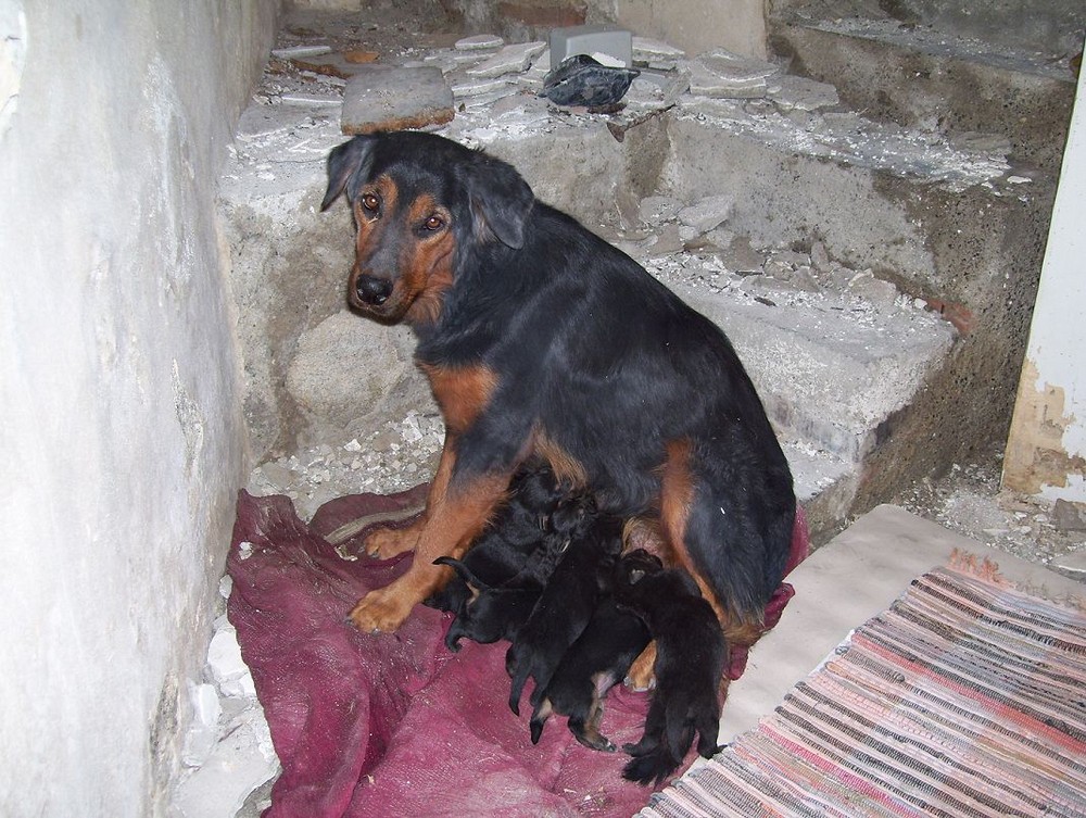 Kinderstube in Sizilien