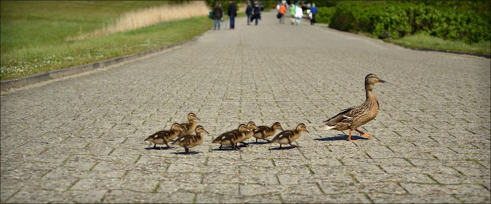 Kindertagsausflug ...