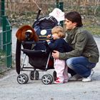 Kinderwagen und Affe