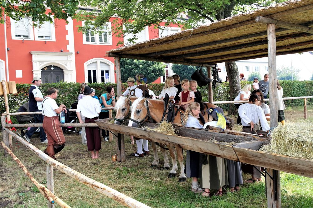 Kinderzeche Dinkelsbühl 2017: Das Glück dieser Erde sitzt auf dem Rücken der Pferde