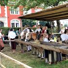 Kinderzeche Dinkelsbühl 2017: Das Glück dieser Erde sitzt auf dem Rücken der Pferde