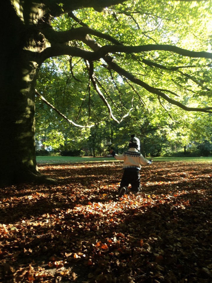 kindheit im herbst