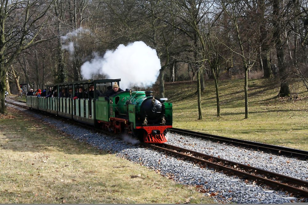 Kindheitserinnerung - Parkeisenbahn Dresden