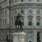 King Charles I and a pigeon