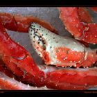 King Crab, Bergen Fish Market IV, Bergen / NO