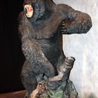 KING KONG im Kleinformat