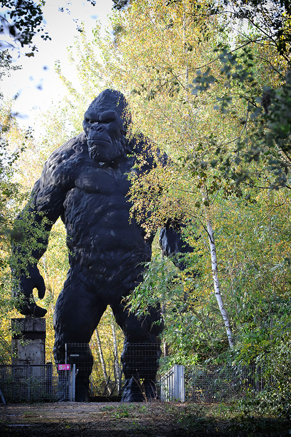 King Kong im Paradies