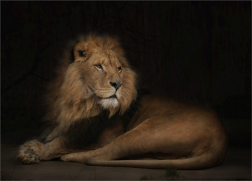 Http Www Fotocommunity De Photo King Lear Cassandra 8072918 2007 02 25 Https Img Fotocommunity Com King Lear A45f51bb C96f 476c A25a 3ee736e1c499 Jpg Width 1000 King Lear Http Www Fotocommunity De Photo Tuerknauf Engel J Denecke