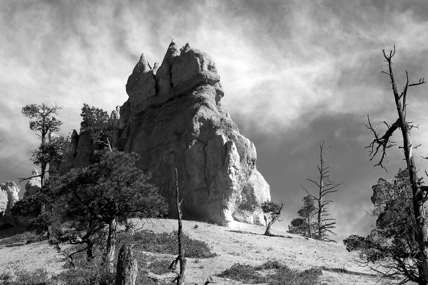 King Of The Rocks