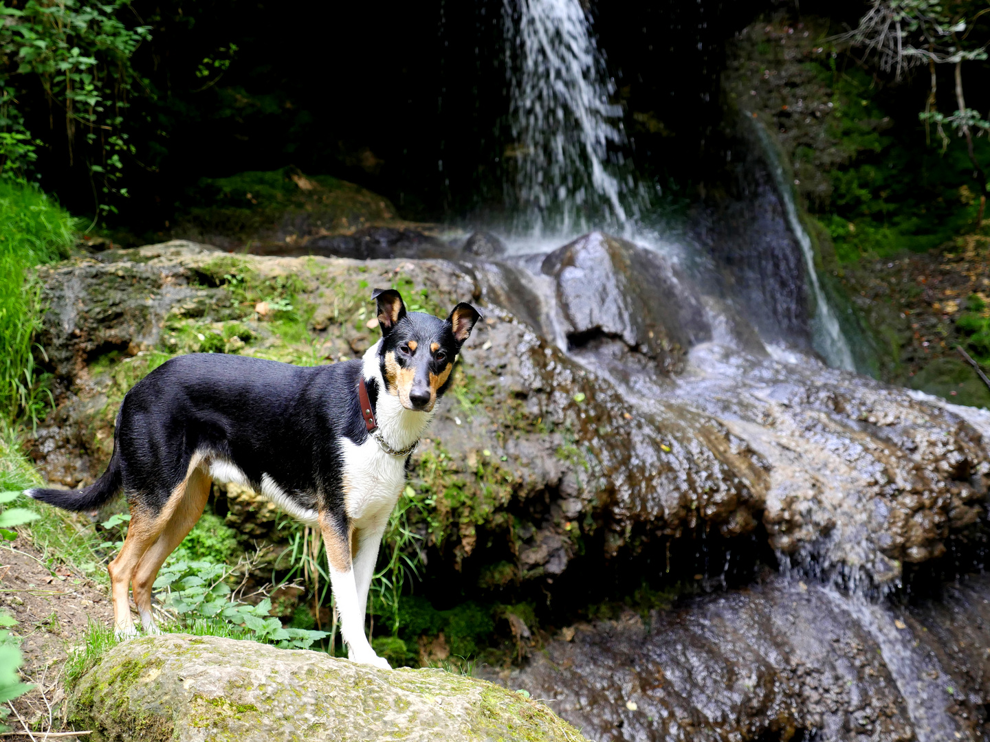 King of the waterfalls...