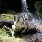 King of the waterfalls...