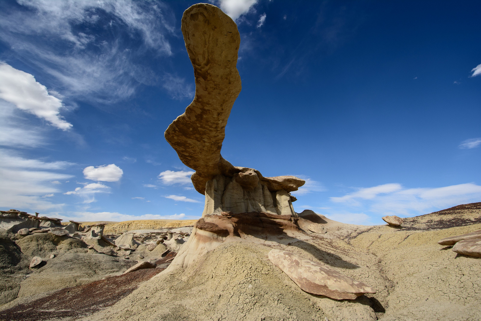 King of Wings - New Mexico