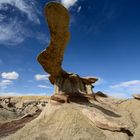 King of Wings - New Mexico