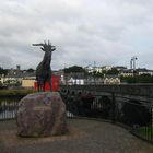 King Puck Killorglin