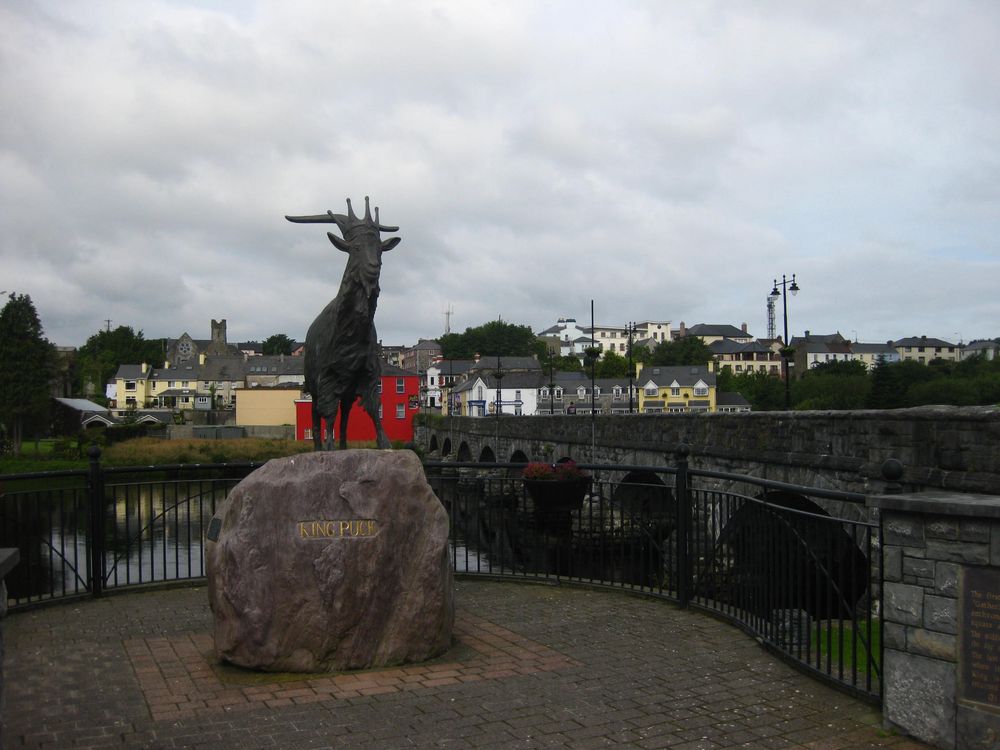 King Puck Killorglin