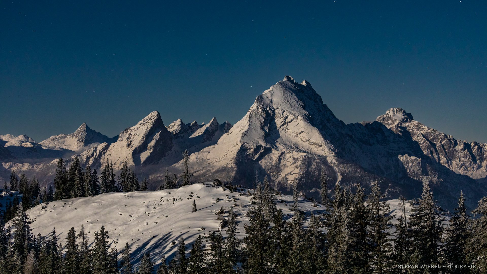 KING WATZMANN IN THE MOONLIGHT