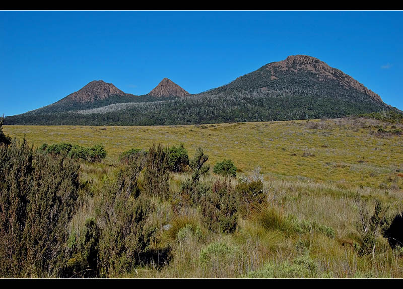 King William Saddle