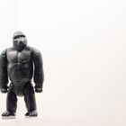 KinGKong en Antarctique