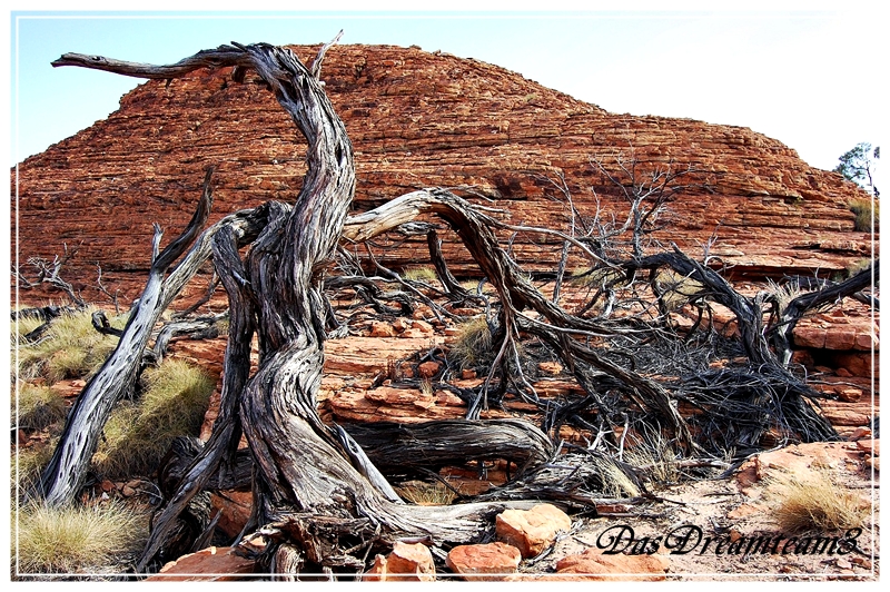 Kings Canyon 1