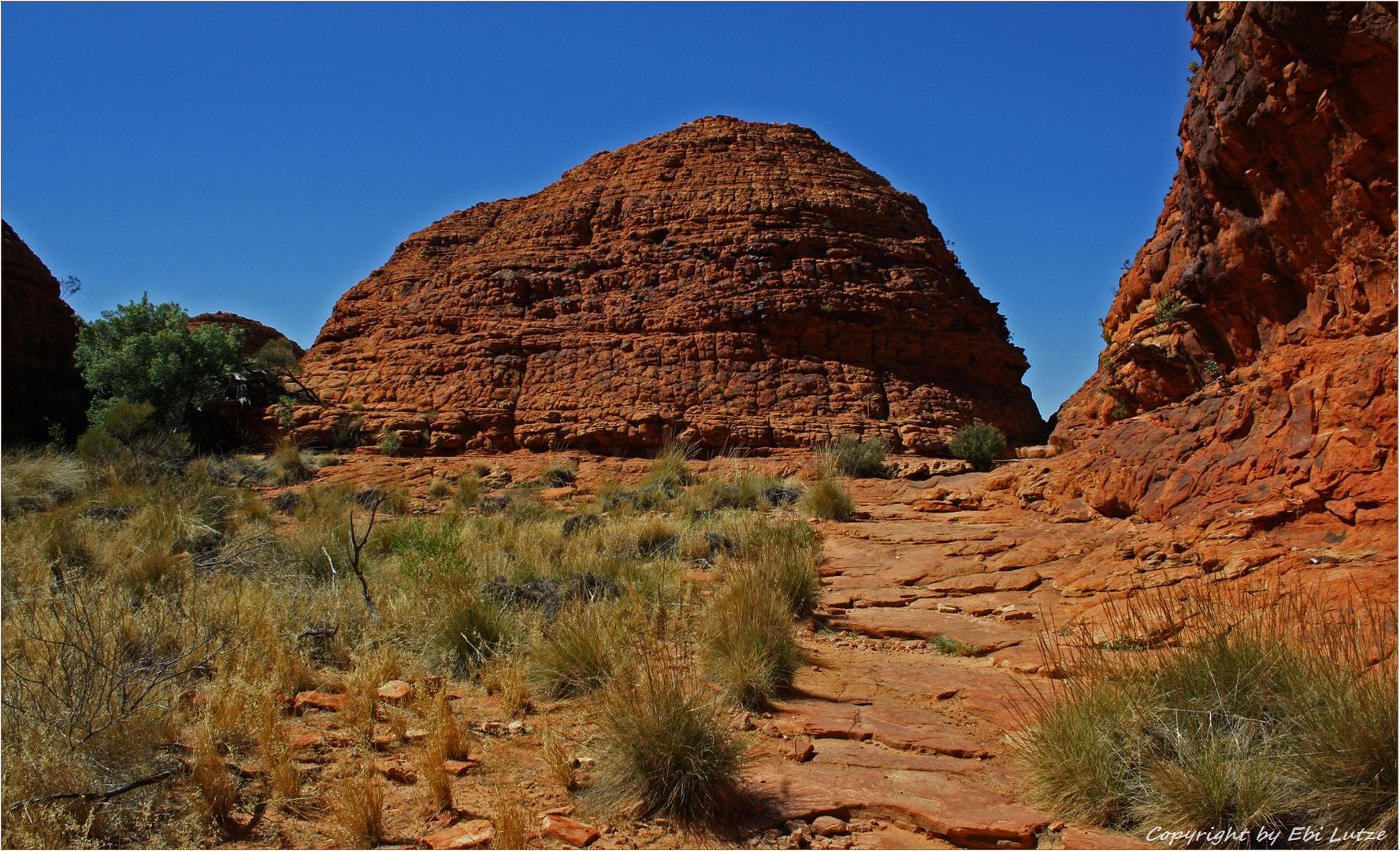 * Kings Canyon 2 / natures Bee hive *