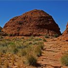 * Kings Canyon 2 / natures Bee hive *