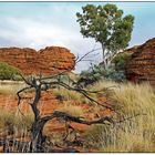 Kings Canyon