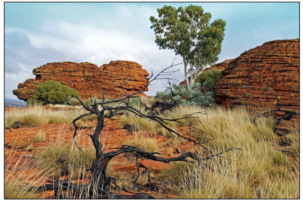 Kings Canyon