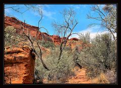 Kings Canyon