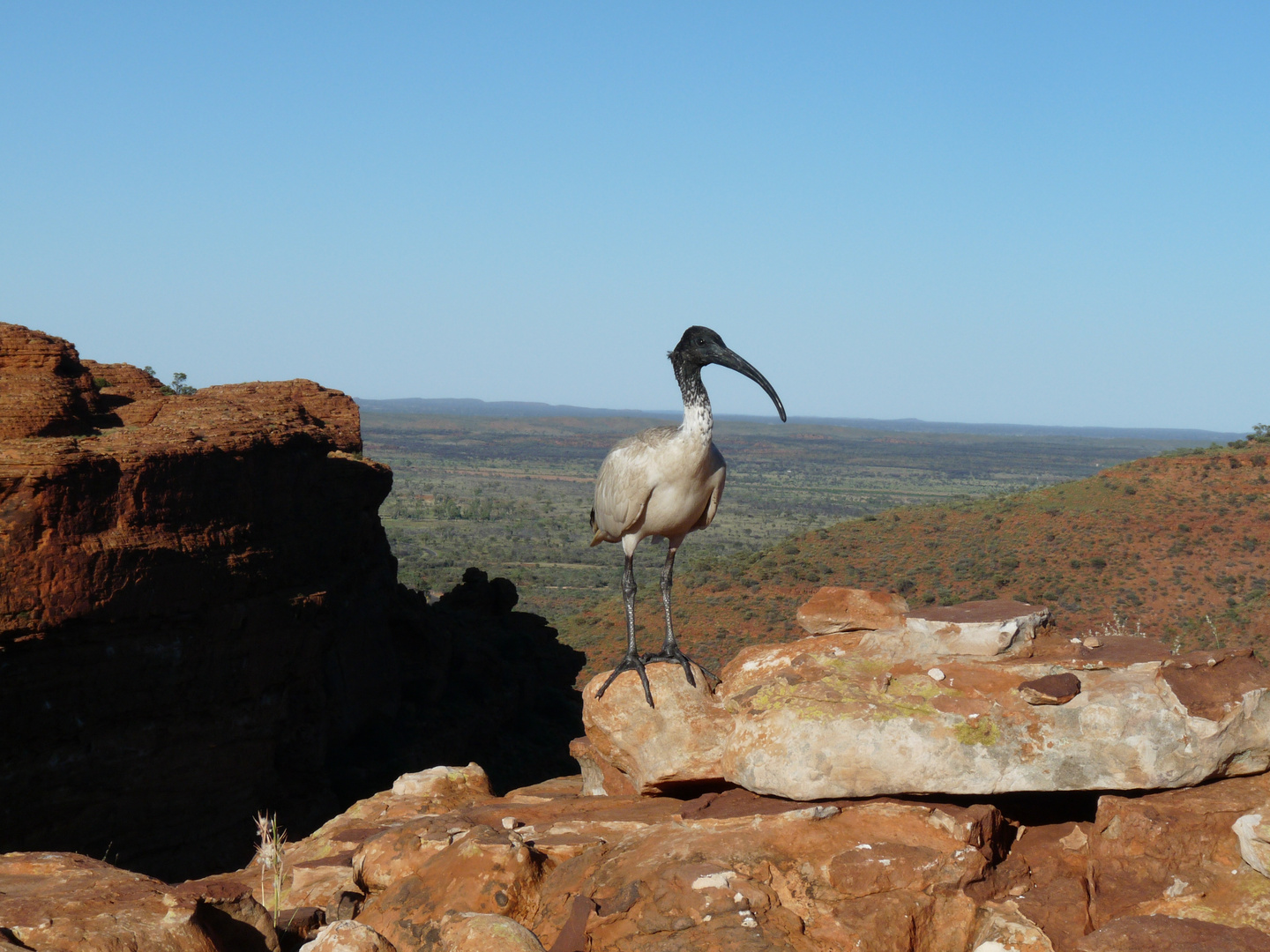 Kings Canyon