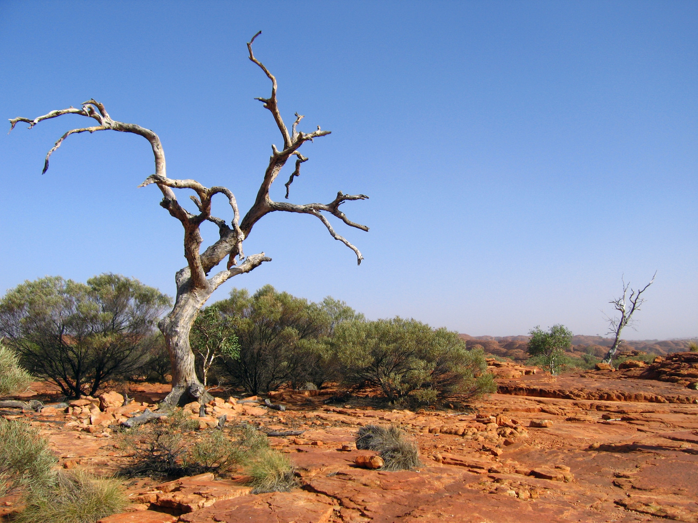 Kings Canyon