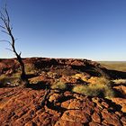 Kings Canyon Australia