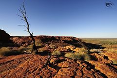 Kings Canyon Australia