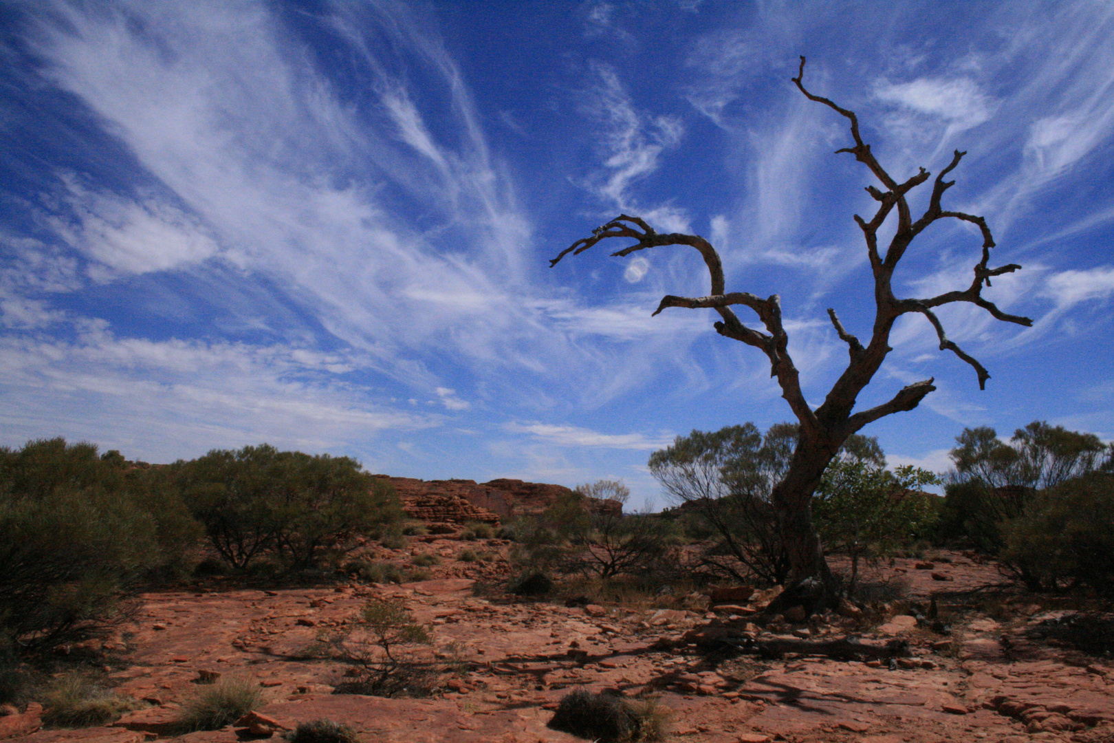 king's canyon australia