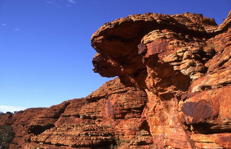 Kings Canyon Australien