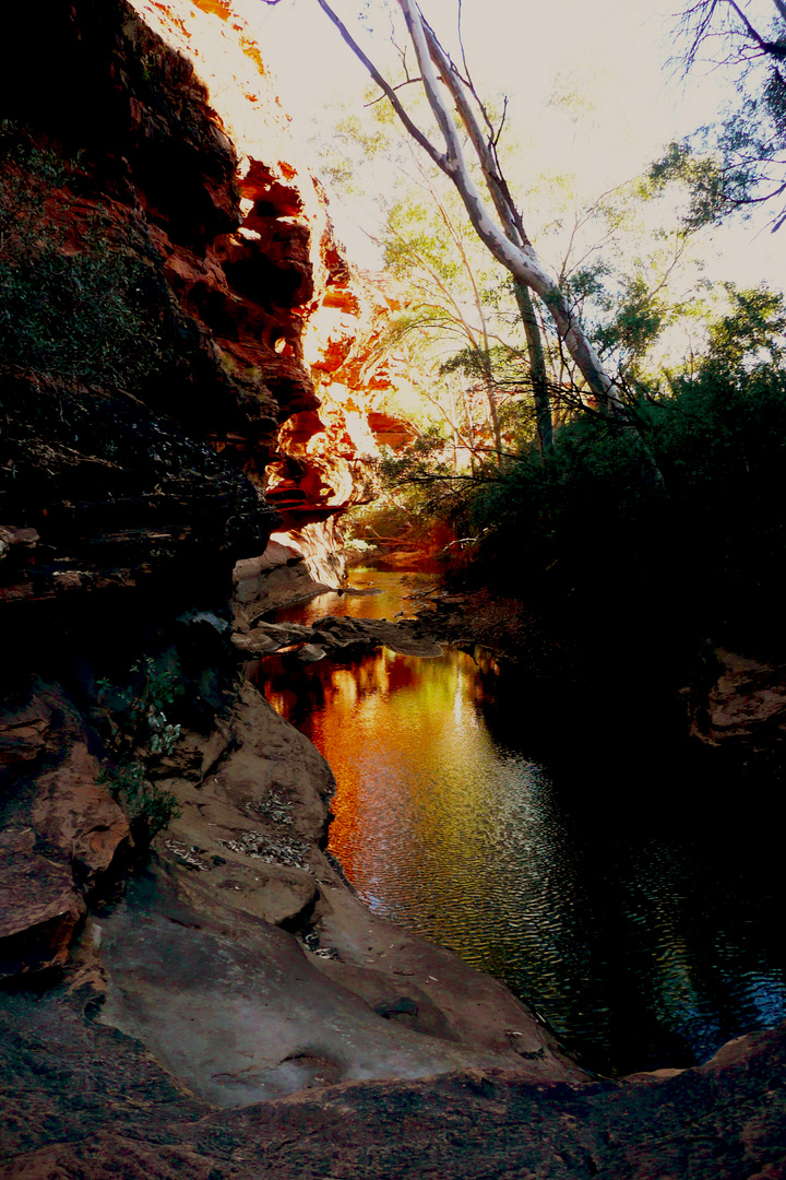 Kings Canyon