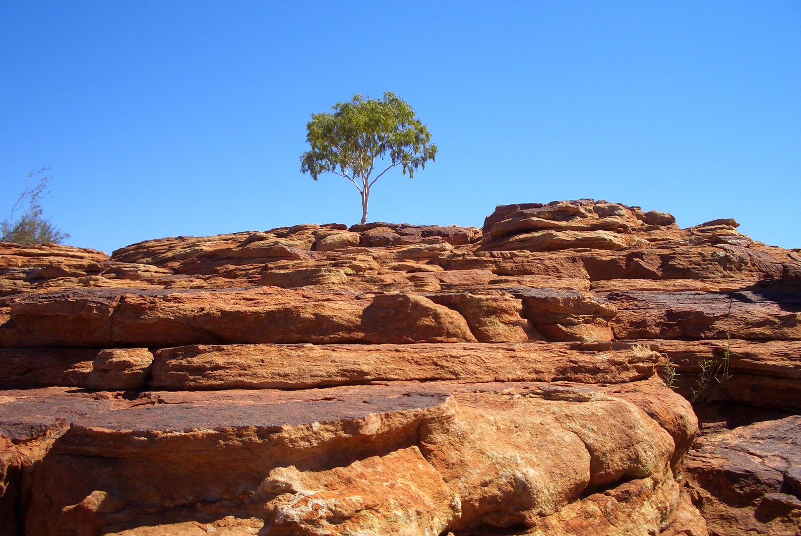 Kings Canyon