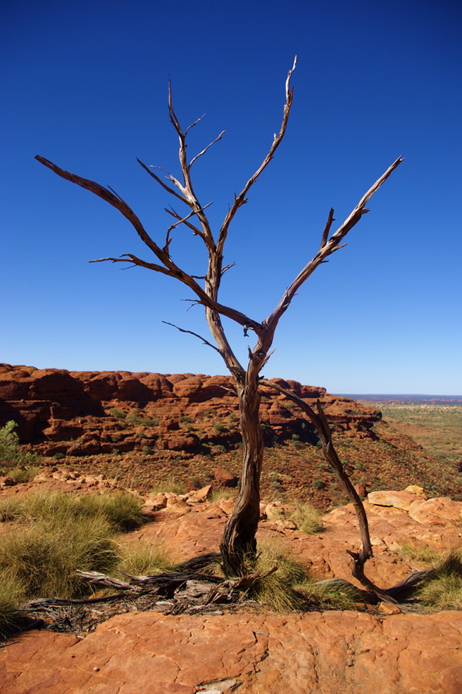 Kings Canyon