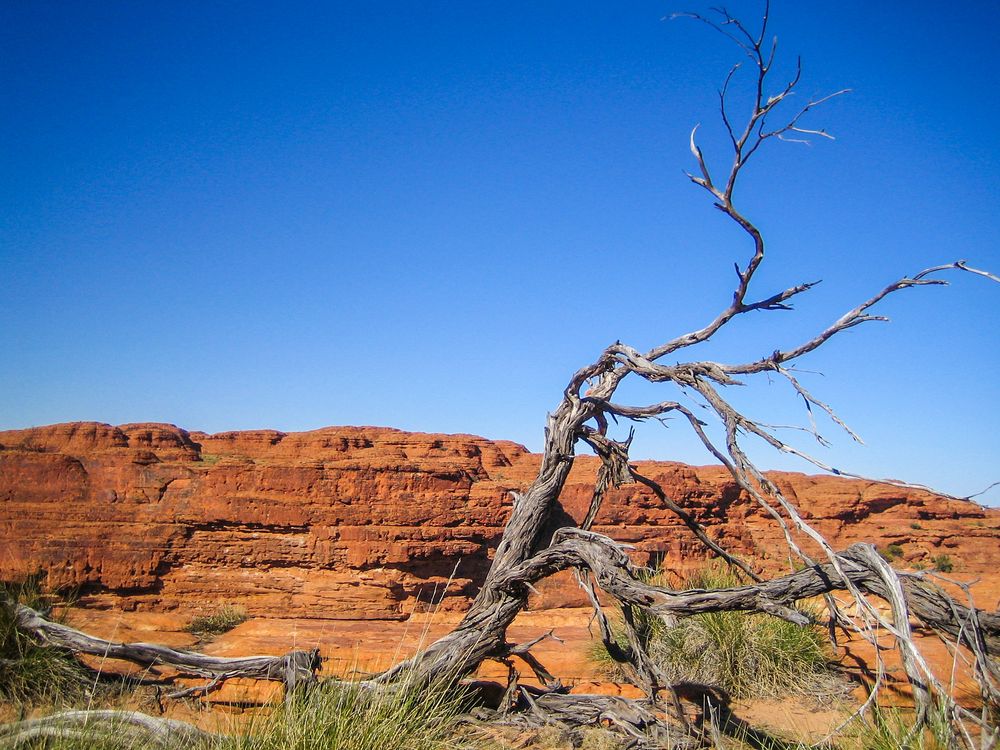 Kings Canyon (I) Australien 2010