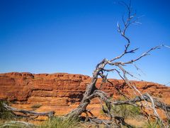 Kings Canyon (I) Australien 2010