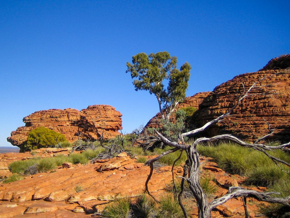 Kings Canyon (II) Australien 2010