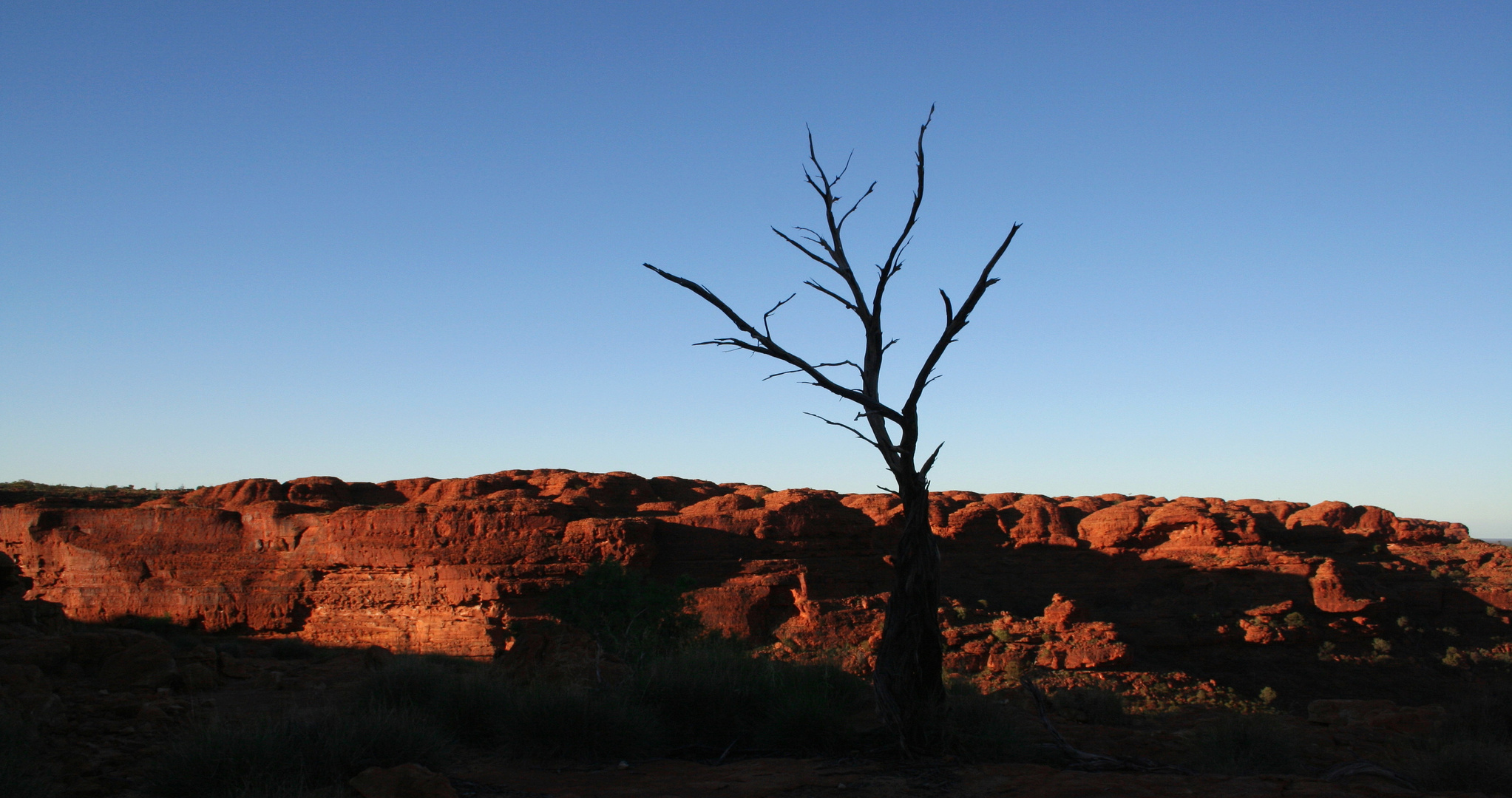 kings canyon im ersten morgenlicht