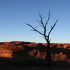 kings canyon im ersten morgenlicht